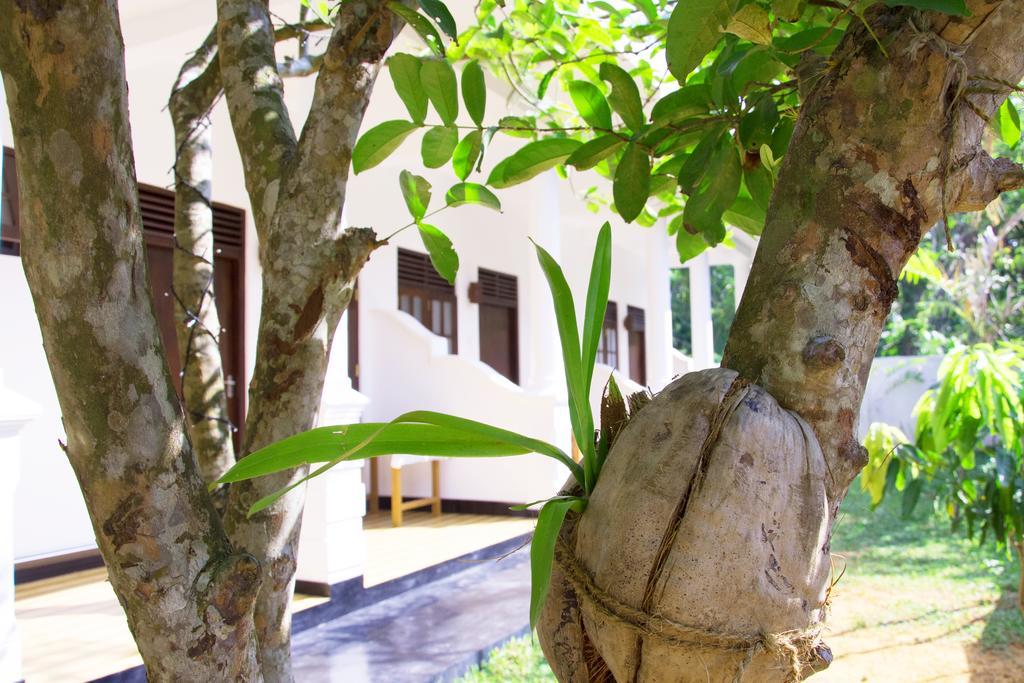 Garden Inn Mirissa Exterior photo