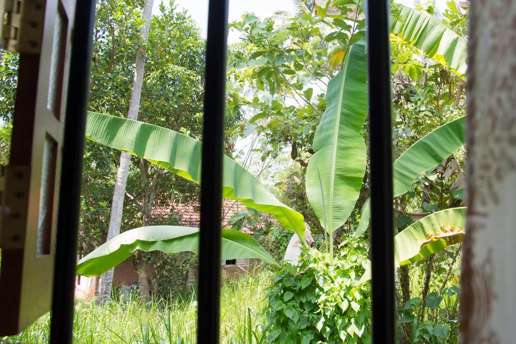 Garden Inn Mirissa Exterior photo